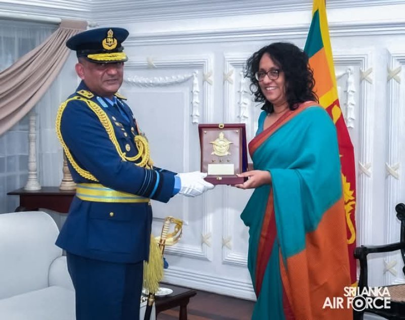 Commander of the Air Force meets Prime Minister