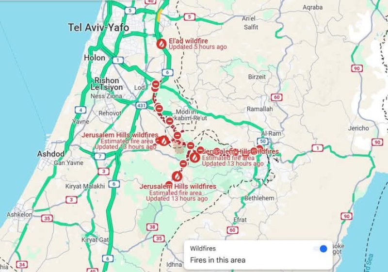 Massive wildfires ravage in Israel : SriLankans are  safe