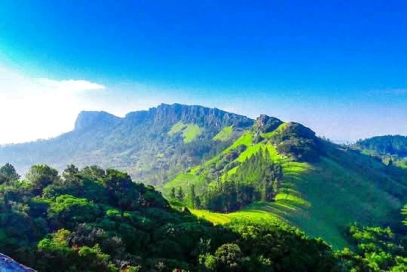 Sri Lanka marks World Environment day with national ceremony