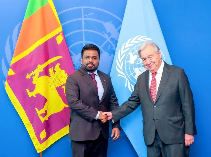 Meeting between President and UN Secretary-General