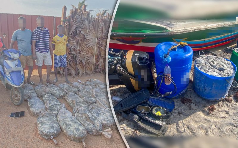 12 suspects apprehended for smuggling of sea cucumbersb