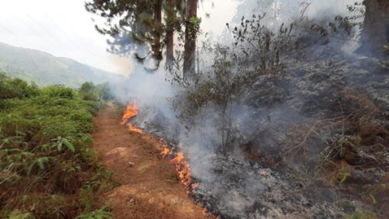 Fire Destroys Over 5 Acres of Land in Wellawaya