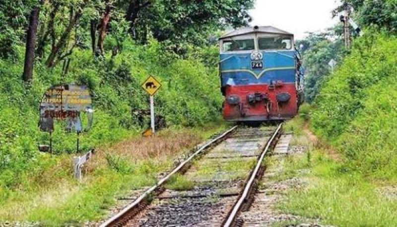 Colombo-Kankasanturai Train Services Resume Tomorrow