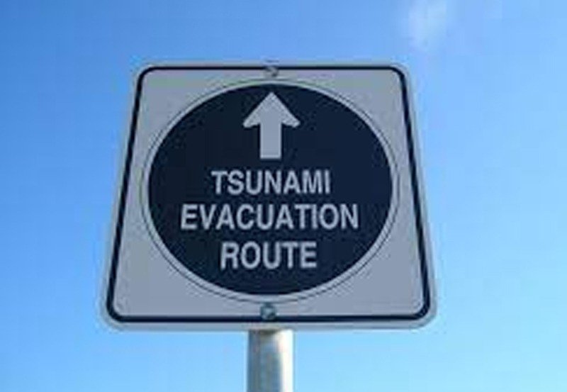 Tsunami drill along South and Eastern coasts tomorrow