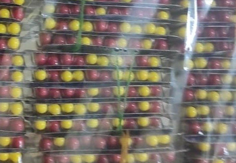 Painkiller tablets intended for smuggling to SL seized