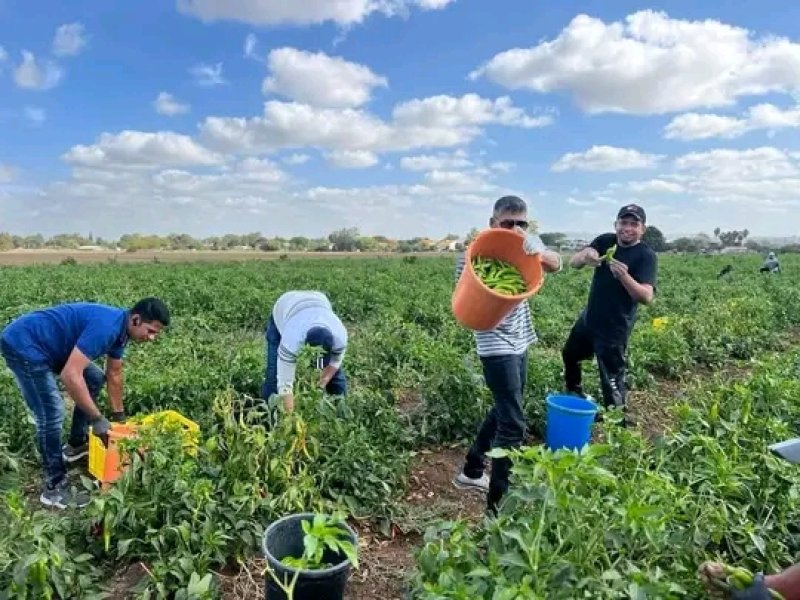 Officials from the Israeli PIBA is Scheduled to Visit SL