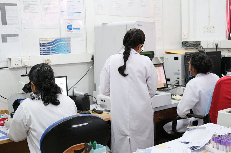 Medical lab services and physiotherapists launch a strike