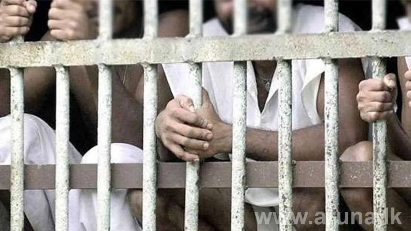 Eleven prisoners died by suicide last year