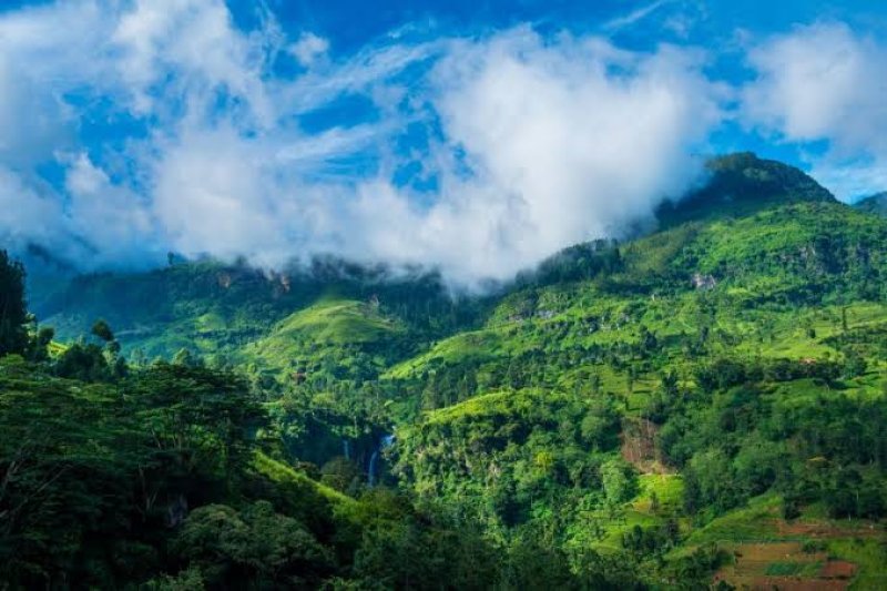 Nuwara Eliya records lowest temperature of 14.0&deg;C