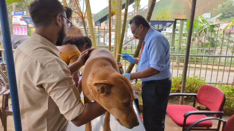 SL spends over Rs. 5 B annually on Rabies control efforts 