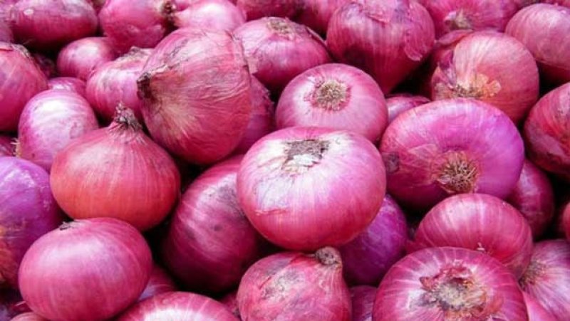 Lanka Sathosa begins purchasing big onions from farmers