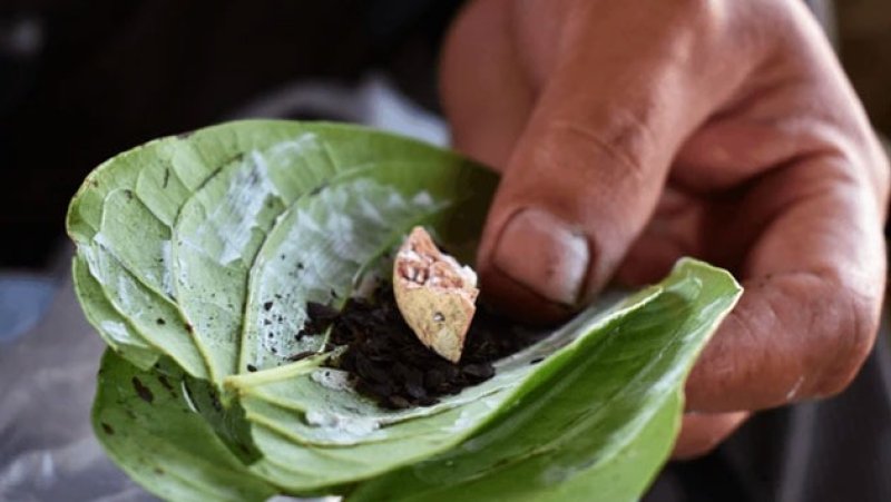 Three people die daily from oral cancer linked to betel chew