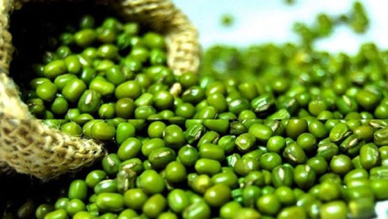 Green gram harvest exceeds expectations across Sri Lanka