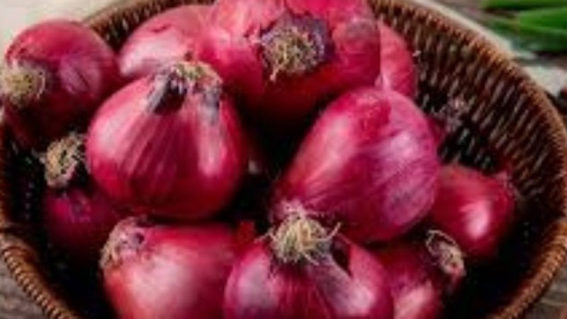 Govt holds discussion for big onion farmers