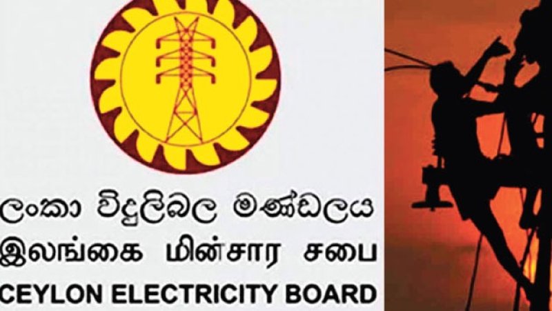 CEB faces sharp financial decline in 2025