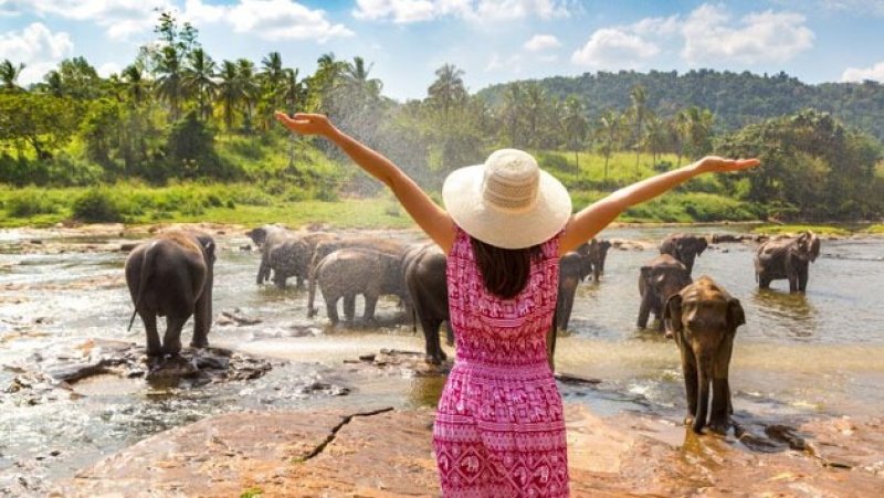 Free visa scheme to commence after tourist season