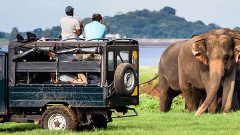 No more jeeps allowed in Yala, Wildlife Department warns