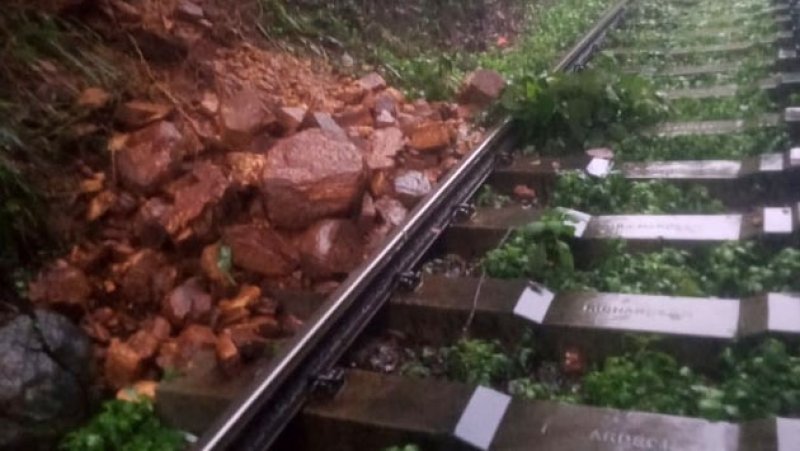 Traffic restored on Kelani Valley line after tree-cutting