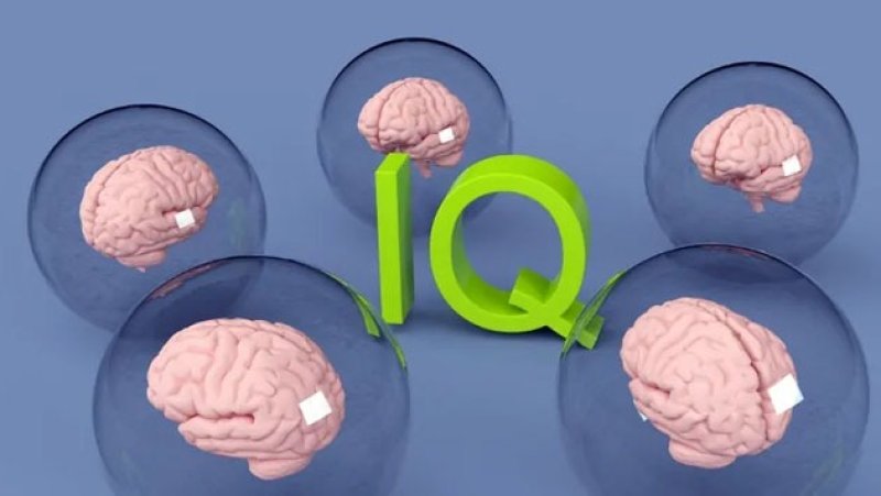 Sri Lanka among top 12 countries globally for average IQ