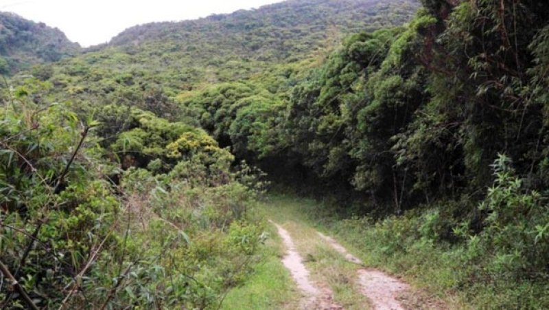 CEJ demands halt to alleged illegal road construction