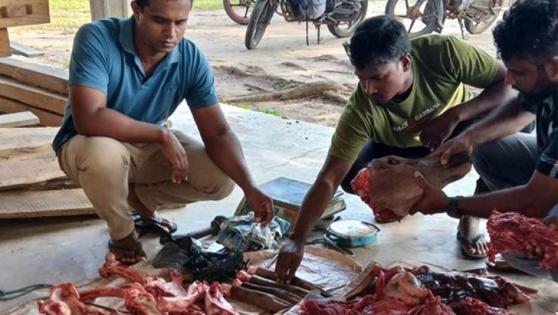 Suspected nabbed with Sambar meat in Wanathawilluwa