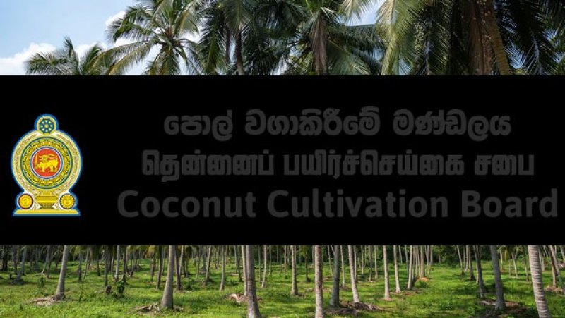 Coconut board sets deadline for cyclone damage reports