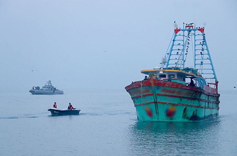 Sri Lankan Navy arrests 11 Indian fishermen for illegal fish