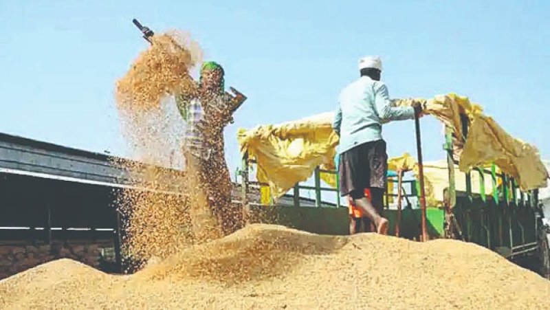 ​Government to increase paddy and rice prices