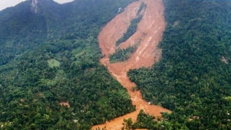 Preliminary report reveals extensive environmental damage