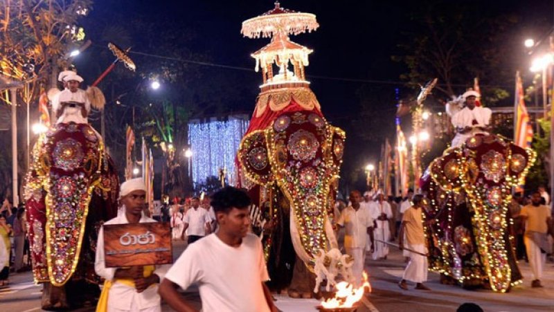 Tech, security measures to ensure safe viewing of Perahera