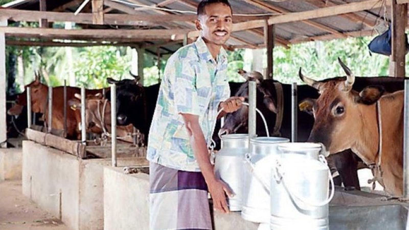Consumer group urges probe into fresh milk pricing, quality