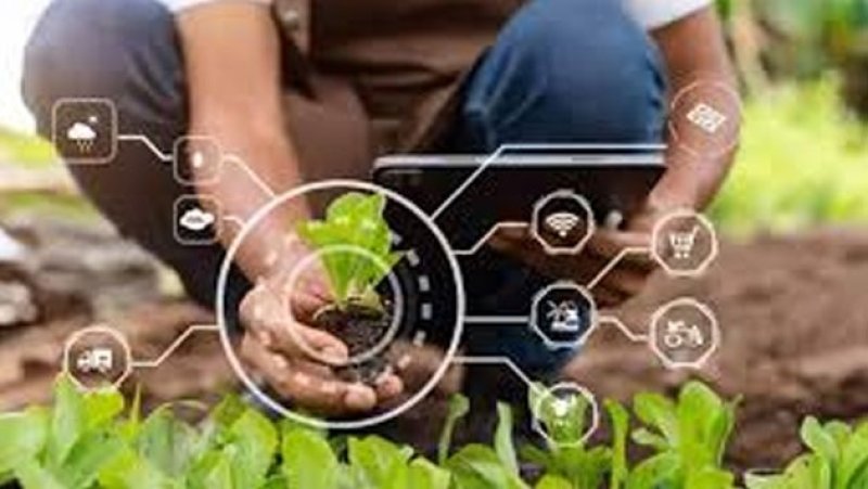 CBSL warns public as unregulated agro-investment schemes