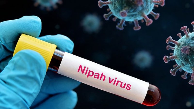 Do not ignore Nipah risk, pay attention to foreign tourists: