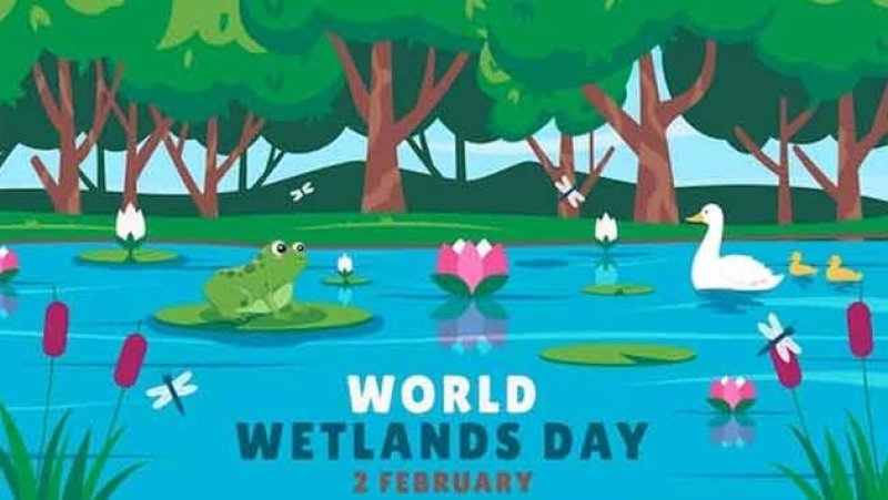 World Wetlands Day observed today