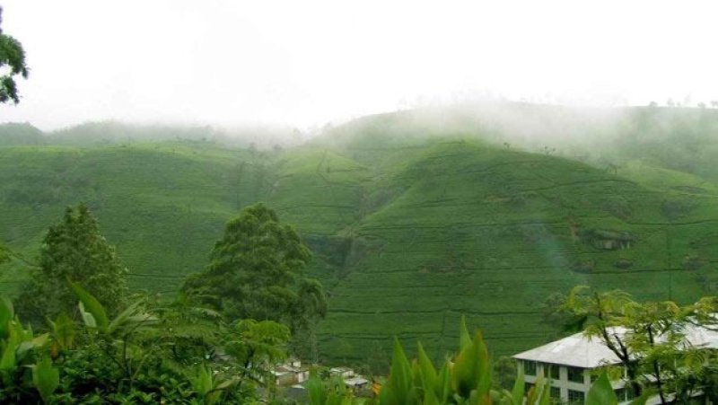 Highest rainfall recorded in Nuwara Eliya