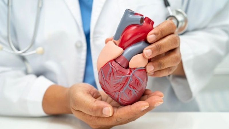 Cabinet approves re-implementation of cardiac care improveme