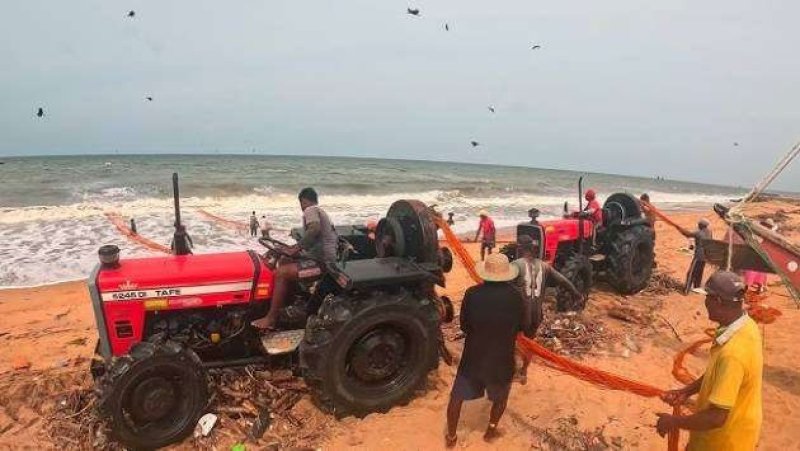 CEJ files legal petition to protect coastal ecosystems