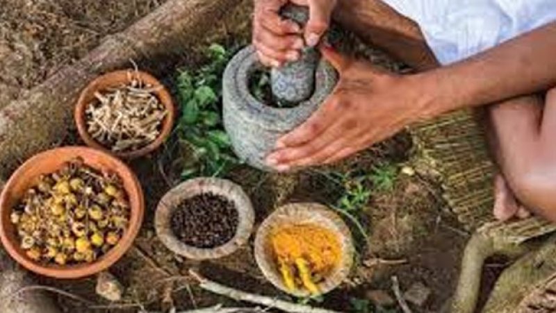 Govt to integrate indigenous medicine 