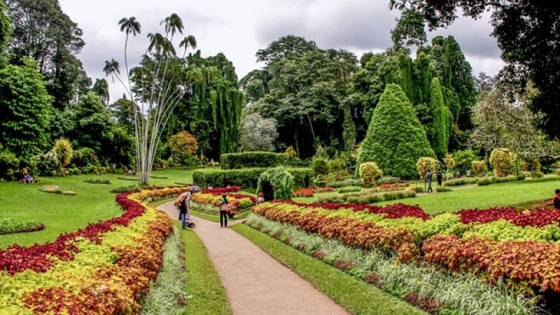 Botanical gardens revenue surpasses Rs. 1 billion in 2025