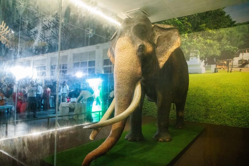 Nadungamuwa Raja Replica unveiled at National Museum