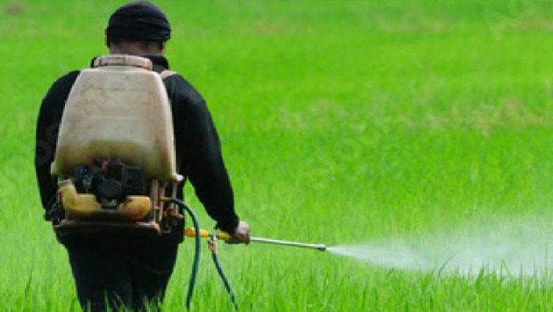 Delay in fertilizer imports raises concerns