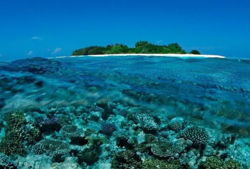 Five Italians die during cave dive in Maldives