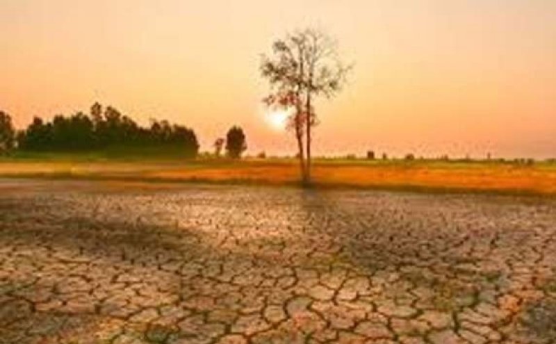 Cabinet forms committees to tackle El Ni&ntilde;o threat