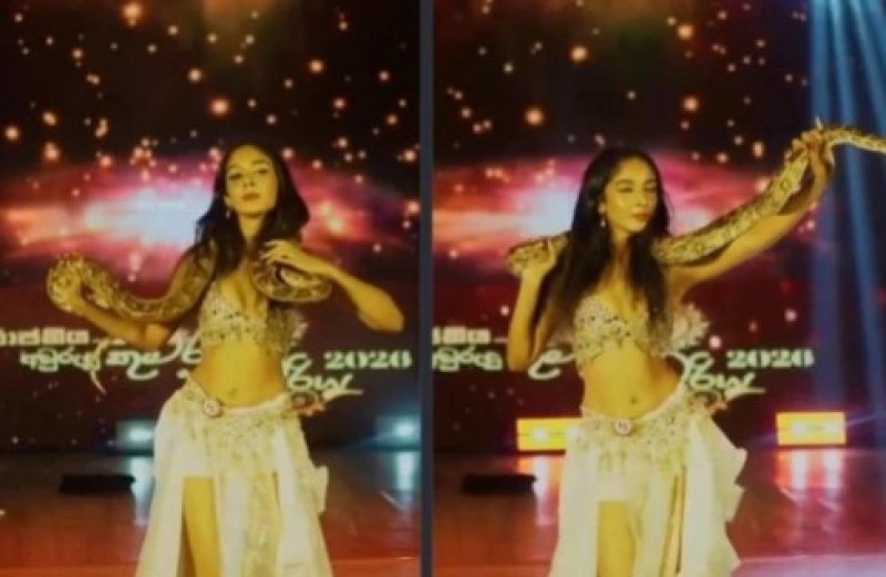 Woman fined for dancing with python 