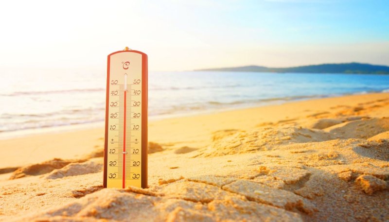 World's oceans hit highest temperature on record 
