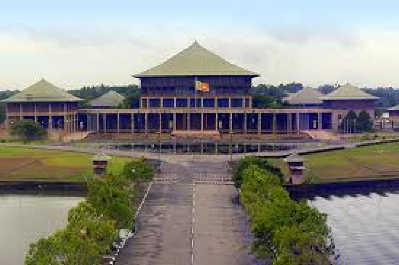 New Members Appointed to the National Constitutional Council