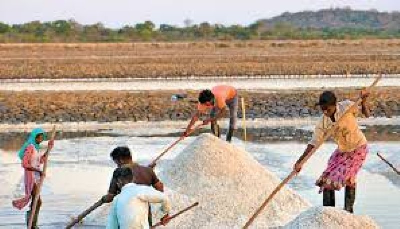 Ministry to Investigate Notable Decline of  Salt Production 