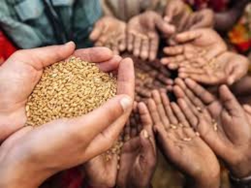 Cabinet Approves Food Security Committee Proposal 