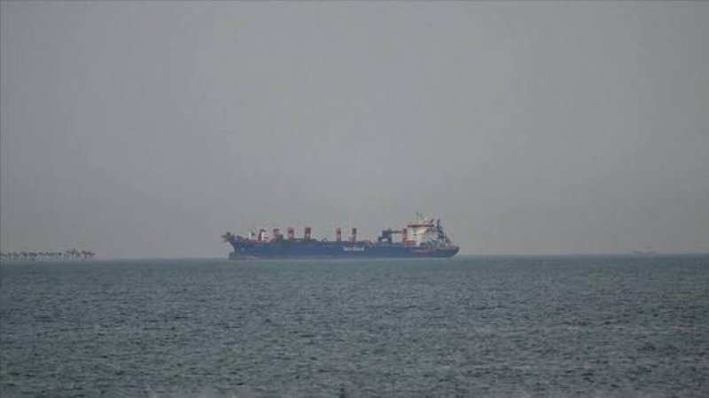 International-News