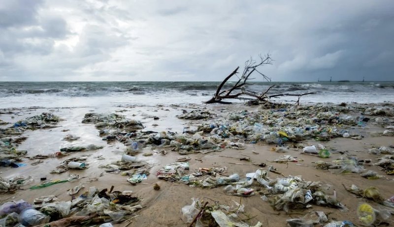 Marine waste from India increases with monsoon